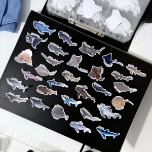 Stickers individuales - 30 diseños disponibles