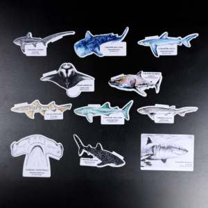 Stickers individuales - 11 diseños disponibles